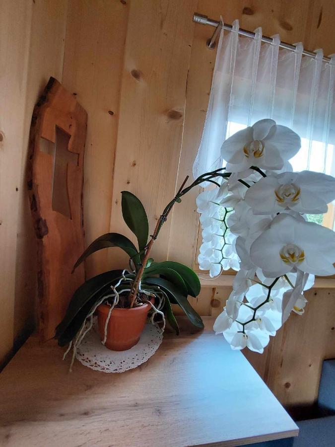 Pocitniska Hiska Lastovka Podvolovljek Exteriör bild