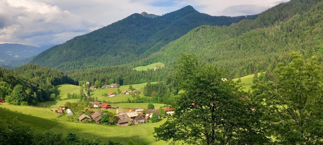 Pocitniska Hiska Lastovka Podvolovljek Exteriör bild